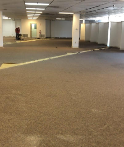 This is the removal of glued down carpet and the remaining glue in a commercial space in Springdale AR. 